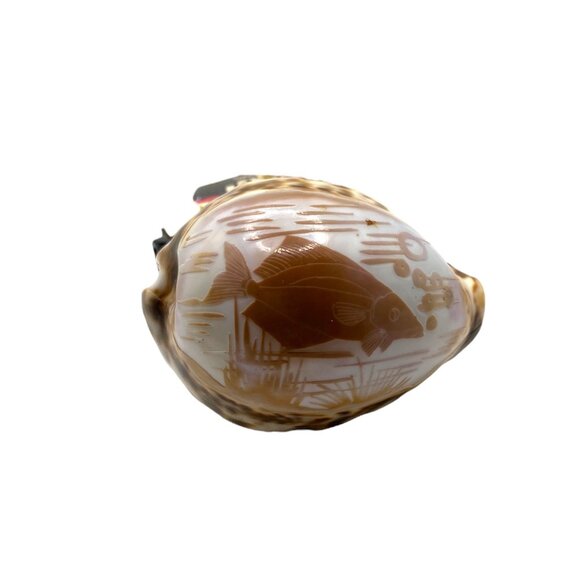 Hand-Carved Cowrie Shell With Fish Design Ocean Water Sea Life Decor Nautical - Picture 10 of 11